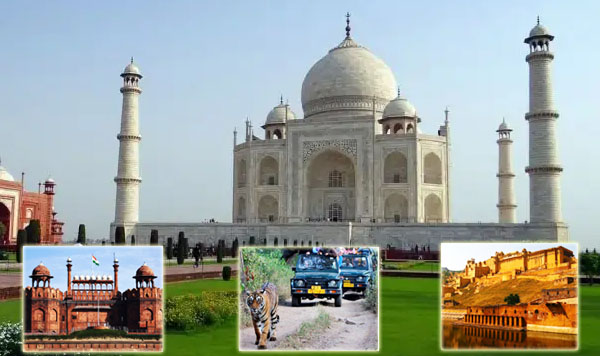 Golden Triangle Tour with Ranthambore