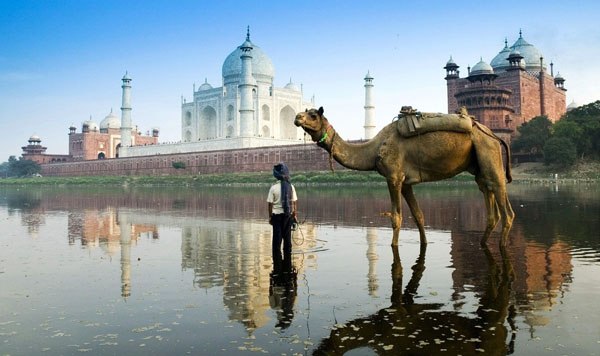 Taj Temples & Tigers Rajasthan Tour